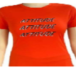 Ladies Active T- shirt (Solid Orange)